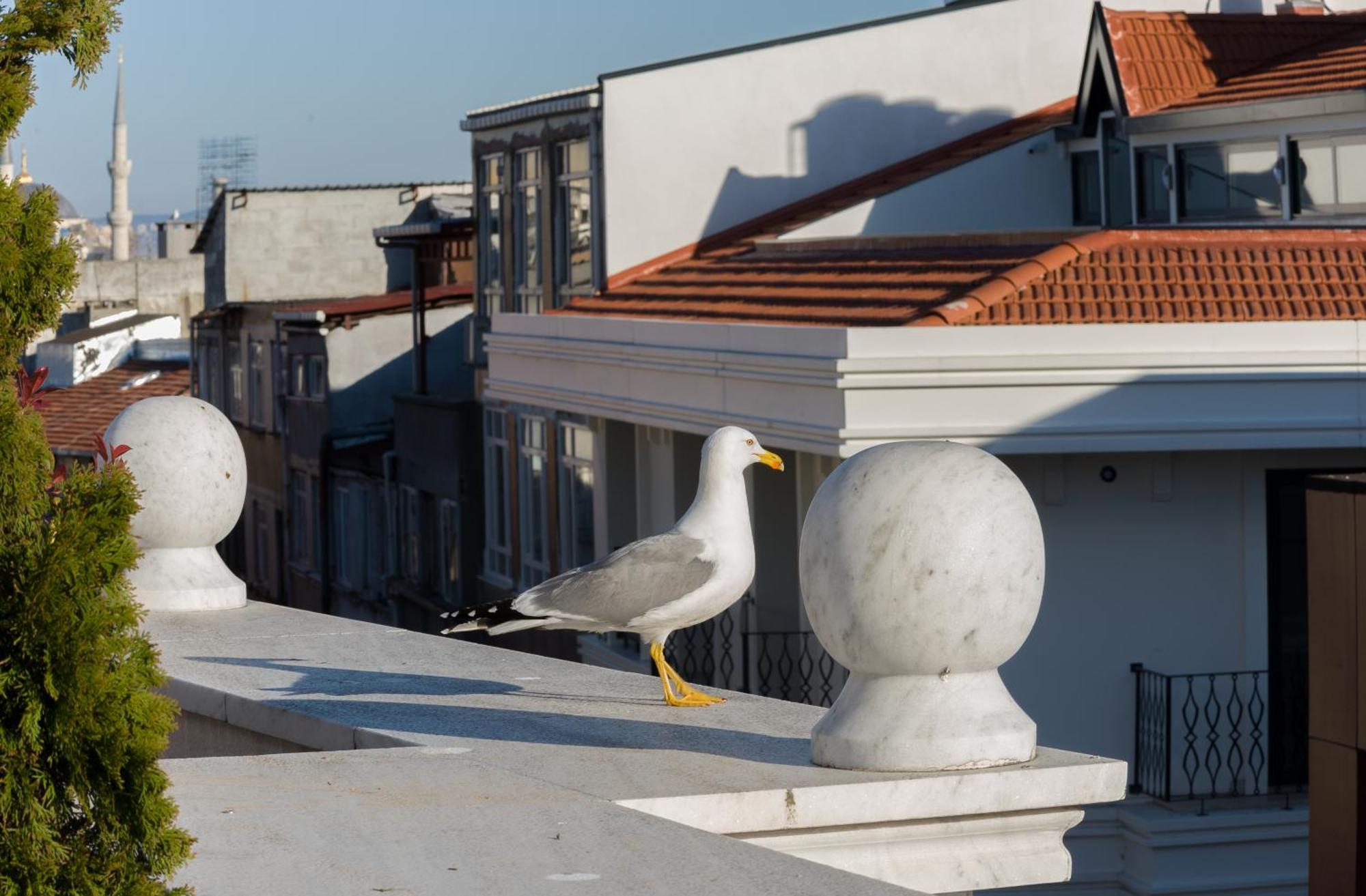 Bizim Hotel Istanbul Luaran gambar